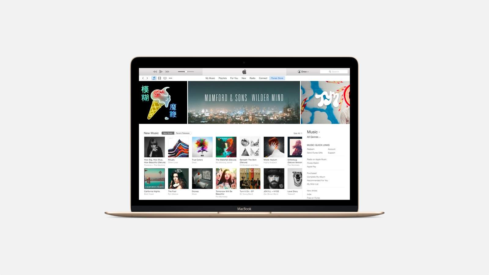 a mac only for internet and itunes